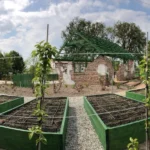 Profesjonalne usługi ogrodnicze GreenTee - projektowanie i realizacja ogrodów w Wielkopolsce